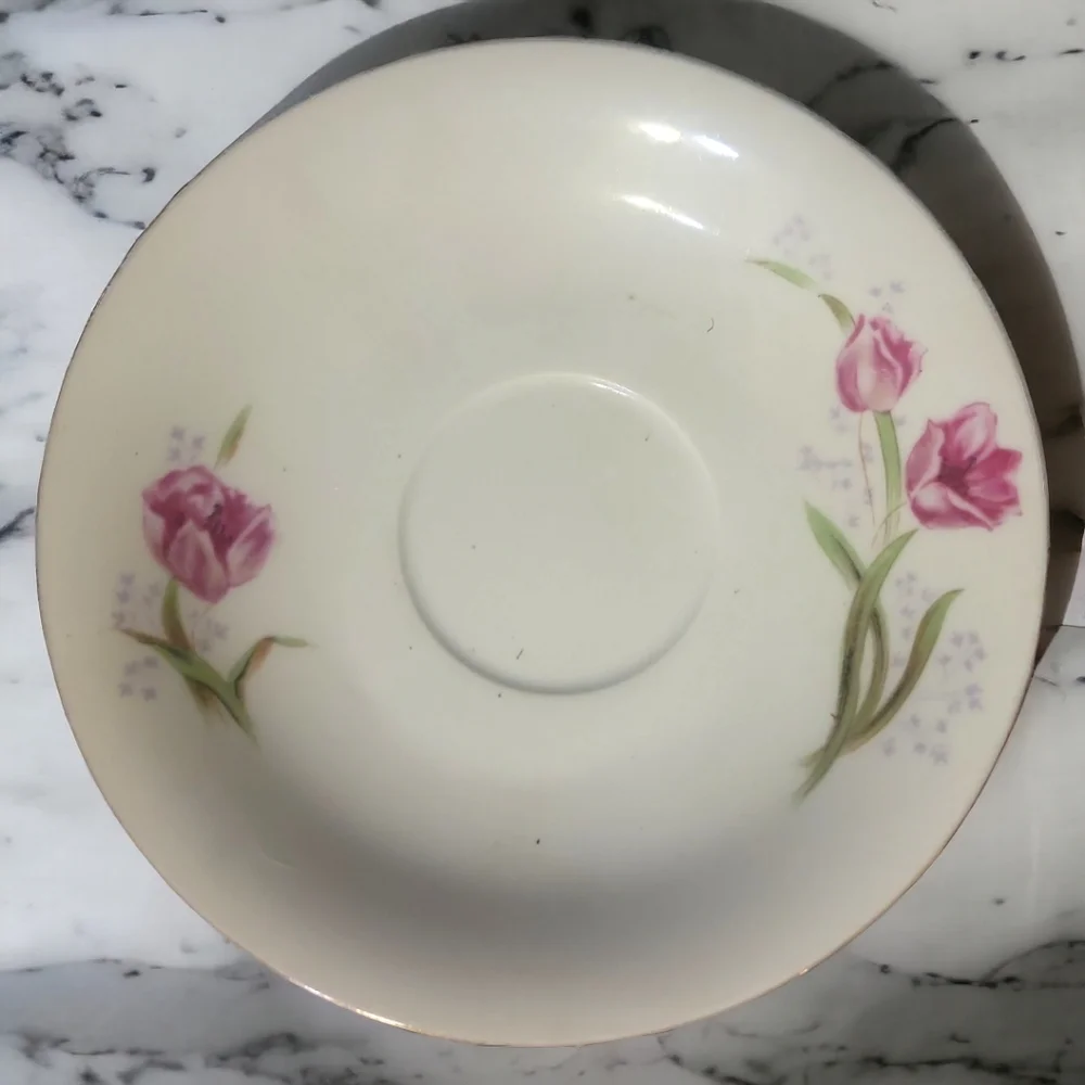 Vtg Tea Cup & Saucer Set, Made by Tangshan China Tulips Flowers Gold Rim